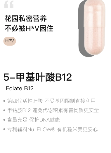 B12 叶酸