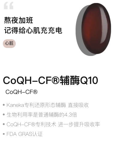 辅酶 Q10